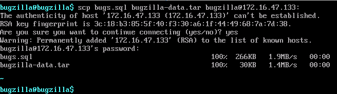 Virtual Bugzilla Server
