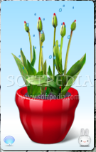 Virtual Flower Pot