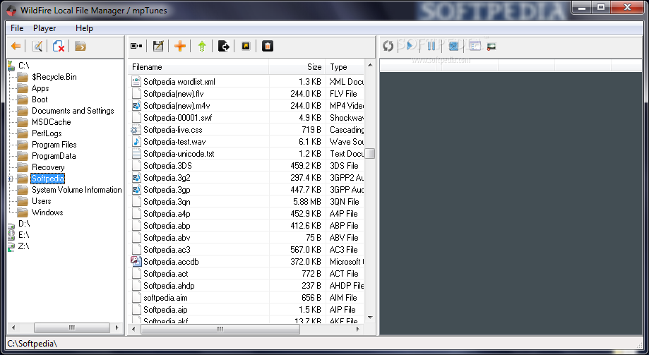 WildFire Local File Manager