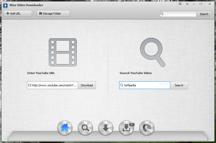Wise Video Downloader Portable
