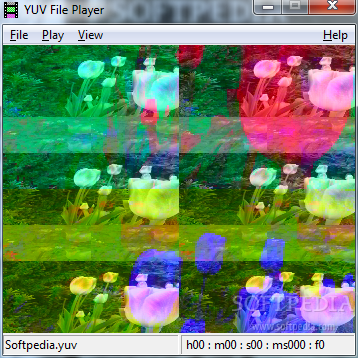 YUV File Player