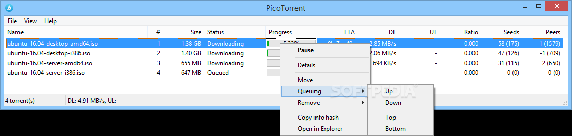 PicoTorrent Portable